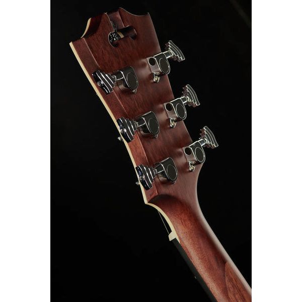 DAngelico Premier Bowery LS