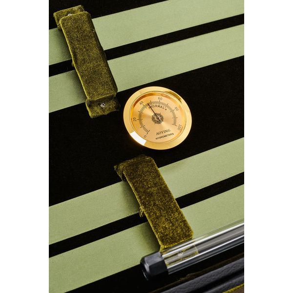 Jakob Winter JWC 763 4/4 Violin Case