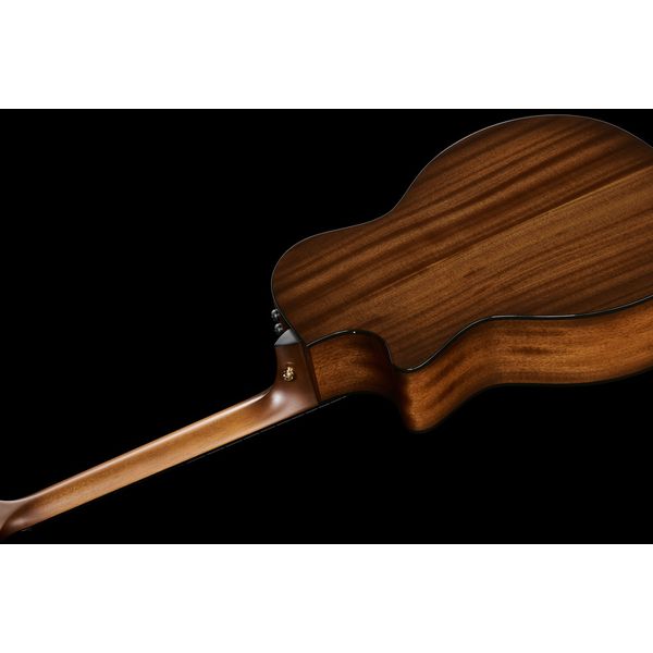 Taylor 314ce Ltd 50th