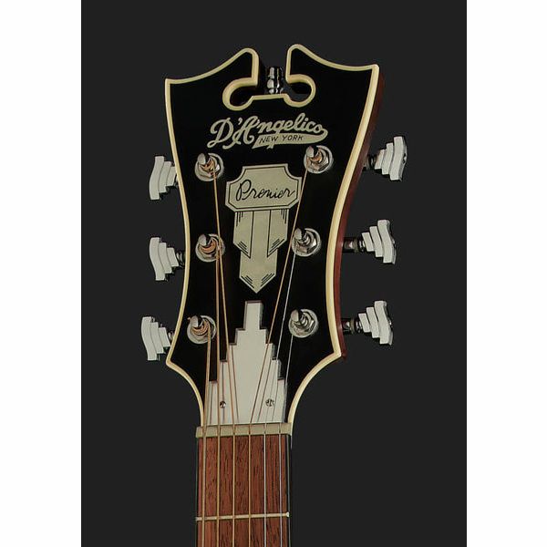 DAngelico Premier Bowery LS