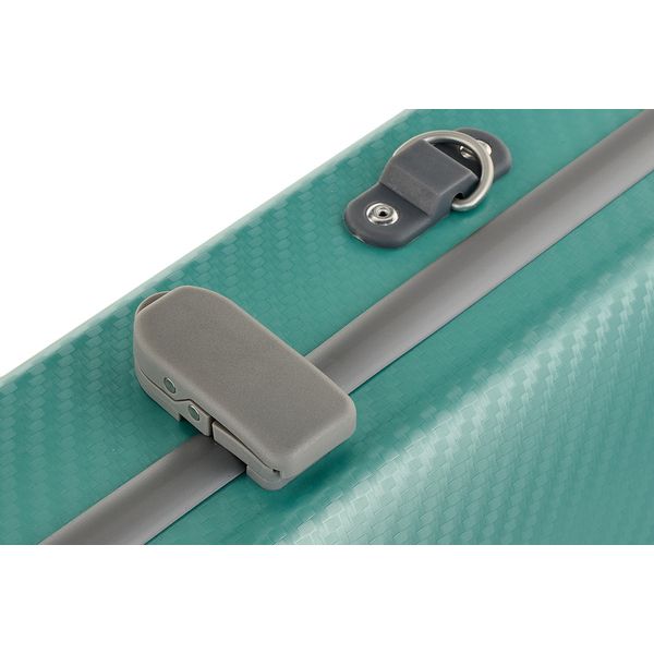 Gewa Pure Vn Case OC Fun G/G