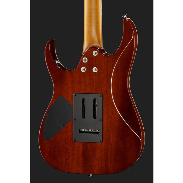 Ibanez GRG220PA1-BKB