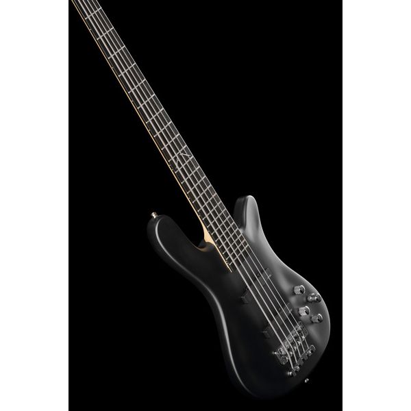 Warwick Artist Line Robert Trujillo 5