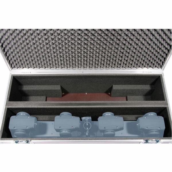 Thon Case 2x Cameo Hydrabeam 400