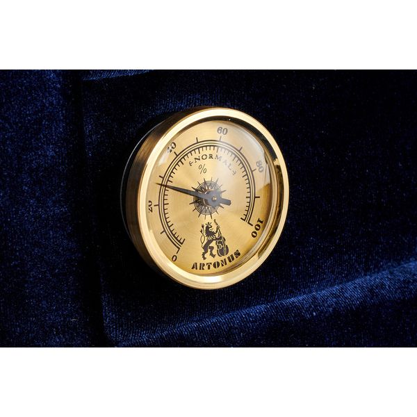 Artonus Neva Viola Case 15"-16,5" CG