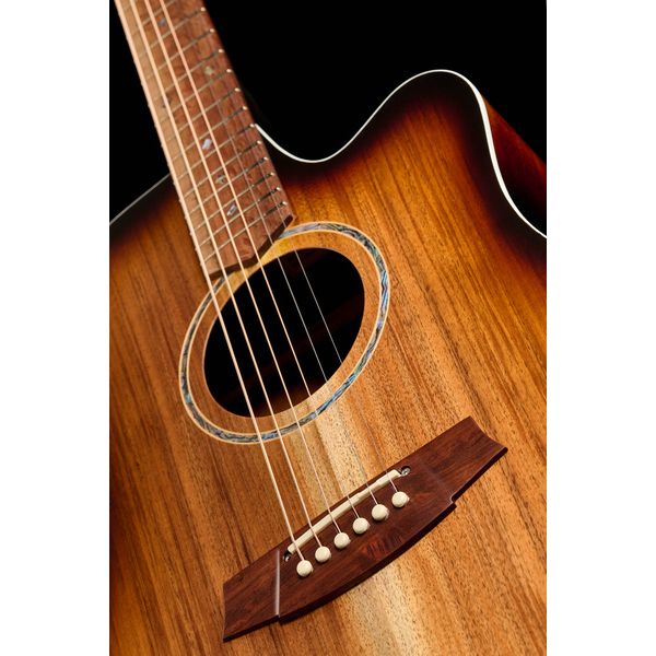 Cole Clark FL2EC-BLBL-SUN Fat Lady