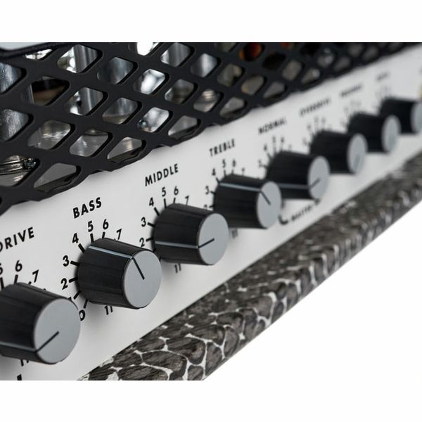 Soldano SLO 100 Custom Snake Head