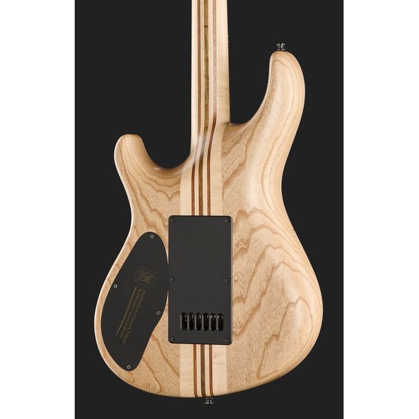 Mayones Guitars Regius 4EVER 6 B27