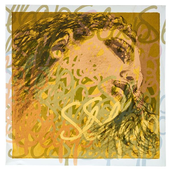 Pirastro Evah Pirazzi Slap D String Syn