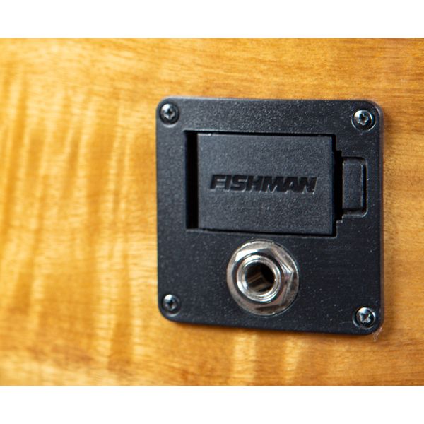 Breedlove Pursuit Exotic S Conc AB CE