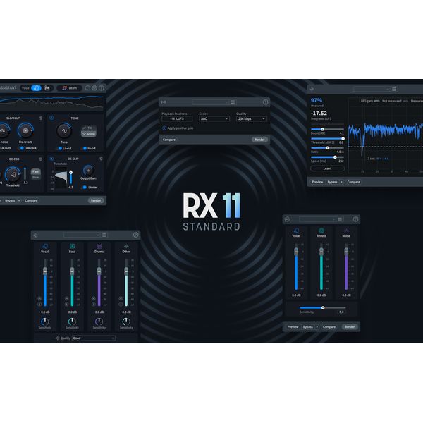 iZotope RX 11 Std UG RX St/Adv / PPS