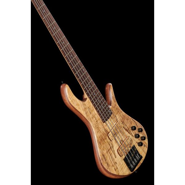 Torillo Shevette 5 Double Cut Spalted