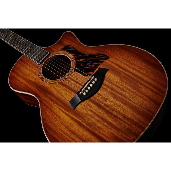 Taylor C24ce Grand Auditorium Custom