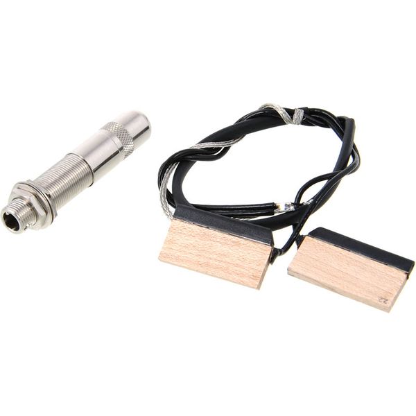 Fishman Resophonic Spider