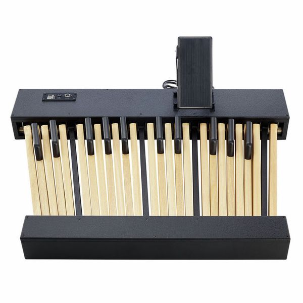 Viscount Legend Pedalboard 25