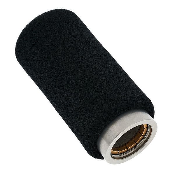 Earthworks Audio ICON EWS-BF+SS