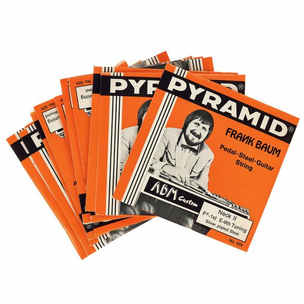 Pyramid E-9th Pedal Steel Set