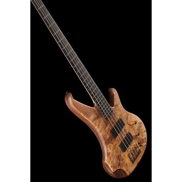 Human Base Max 4 Walnut Burl