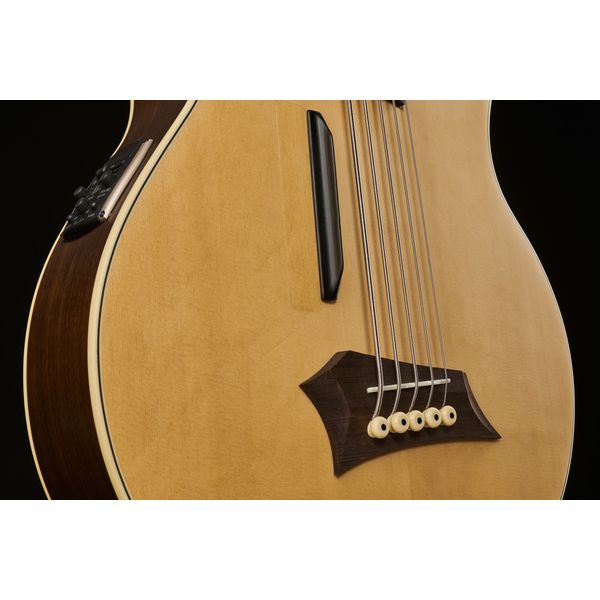 Warwick Alien Deluxe Hybrid 5 FL NT