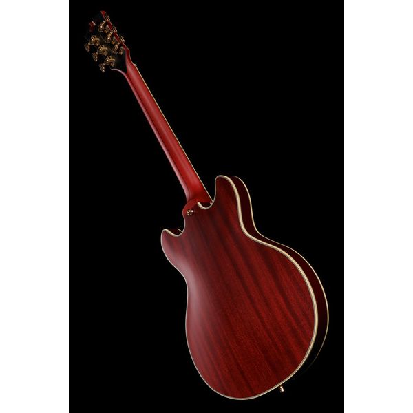 DAngelico Deluxe Mini DC Satin Trans Win