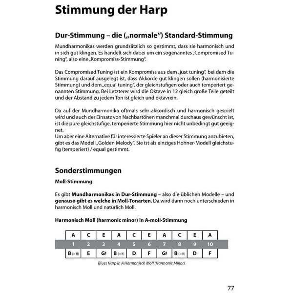 Voggenreiter Der Blues-Harp-Ratgeber