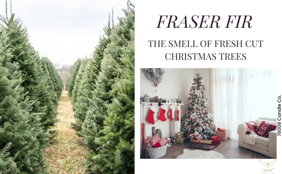 76008 Candle Co. Fraser Fir Scented Candle | Luxury Home Scented Candles | Holiday Candles For Home | Candles that smell like a Christmas Tree