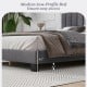 Modern Upholstered Bed Frame with Adjustable Vertical Channel Tufted Headboard