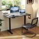 48 Inch x 24 Inch Ergonomic Electric Standing Desk with 3 Memory Settings for Home Office
