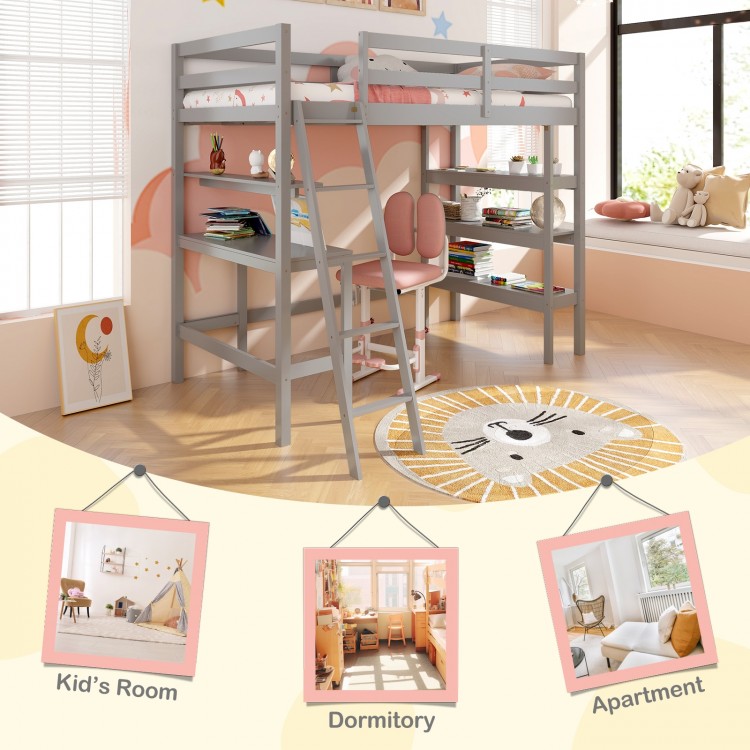 Twin Size Loft Bed with Desk and Bookshelves for Kids and Teens
