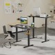 48 Inch x 24 Inch Ergonomic Electric Standing Desk with 3 Memory Settings for Home Office