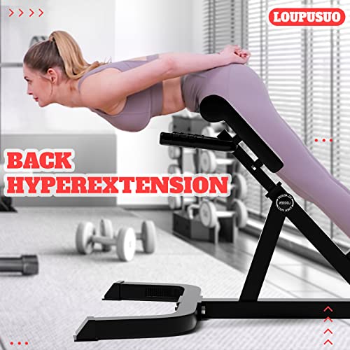 Loupusuo Roman Chair Back Extension & Ab Bench, Adjustable Height, 300 lbs Capacity, Space-Saving Design