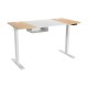 55 x 28 Inch Electric Adjustable Sit to Stand Desk with USB Port