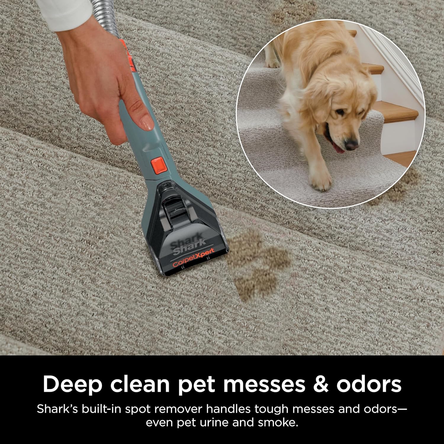 Upright Carpet, Area Rug & Upholstery Cleaner with StainStriker, Built-in Spot & Stain Cleaner, Perfect for Pets, Deep Cleaning & Tough Stain Removal, Carpet Shampooer, Cyan