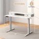 48 Inch x 24 Inch Height Adjustable Electric Standing Desk with 2 Drawers