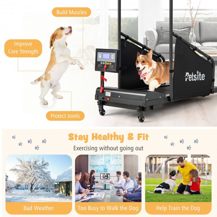 Pet Exercise Equipment with Remote Control