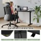 48 Inch x 24 Inch Ergonomic Electric Standing Desk with 3 Memory Settings for Home Office