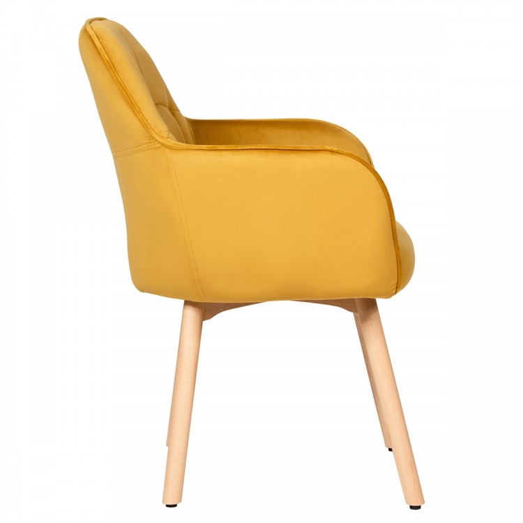 2 Pieces Mid-Back Accent Leisure Armchair Set