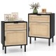Rattan Nightstand Set of 2 with Drawer and Cabinet