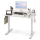 48 Inch x 24 Inch Height Adjustable Electric Standing Desk with 2 Drawers