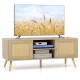 PE Rattan Media Console Table with 2 Cabinets