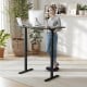 48 Inch x 24 Inch Ergonomic Electric Standing Desk with 3 Memory Settings for Home Office
