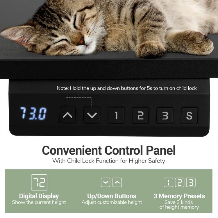 48 Inch x 24 Inch Ergonomic Electric Standing Desk with 3 Memory Settings for Home Office