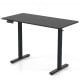48 Inch x 24 Inch Ergonomic Electric Standing Desk with 3 Memory Settings for Home Office