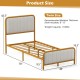 Upholstered Gold Platform Bed Frame with Velvet Headboard