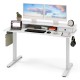 55 Inch x 24 Inch Height Adjustable Electric Standing Desk with 2 Drawers