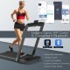2-in-1 Folding Walking Pad Treadmill with Dual LED Display