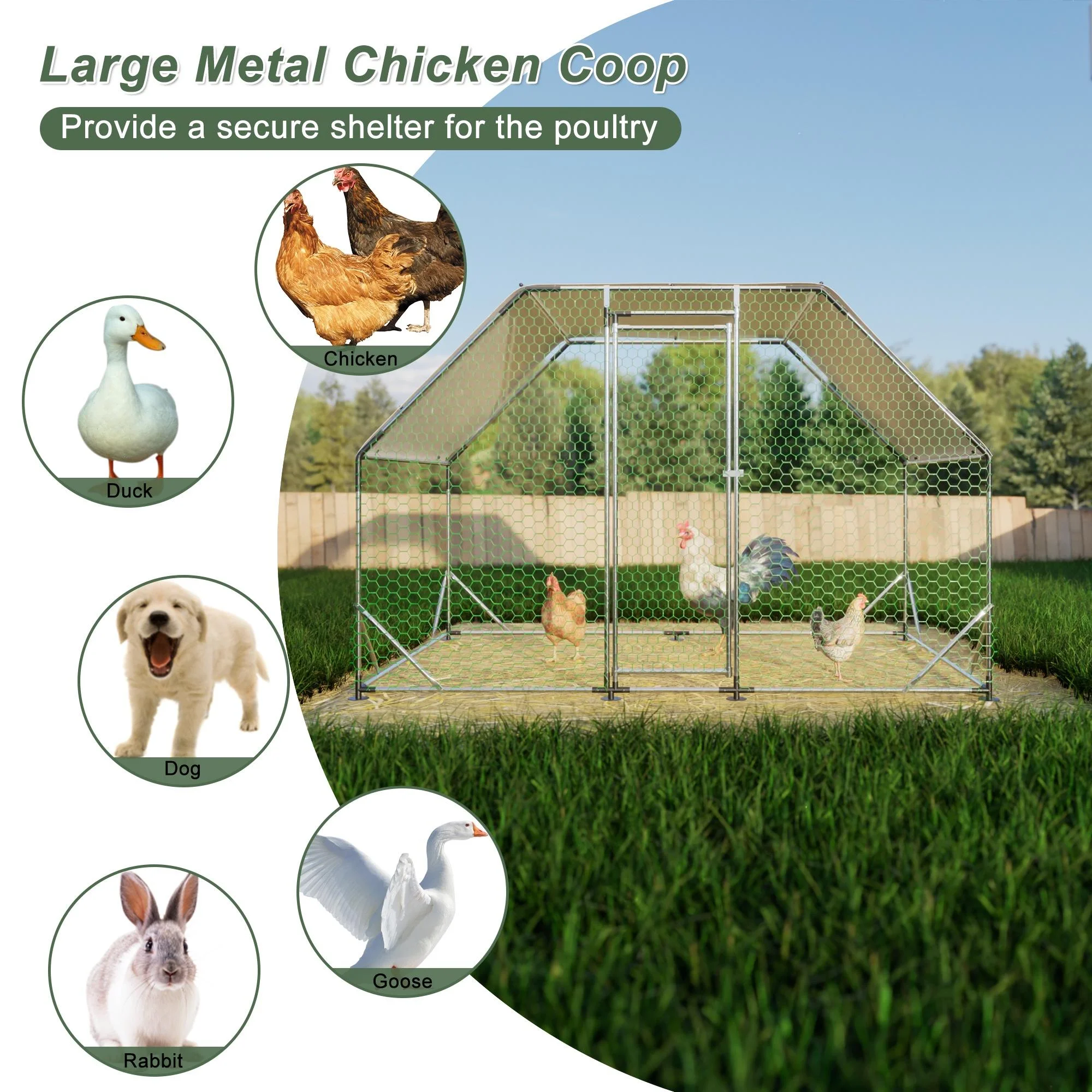 Seizeen Large Walk-in Chicken Coop, Weatherproof & Sturdy Metal Hen House for 6-8 Chickens, 10FT with Easy Access & Versatile Use
