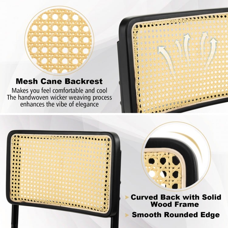 2 Pieces Mid-Century Modern Dining Chair with Cantilever Design