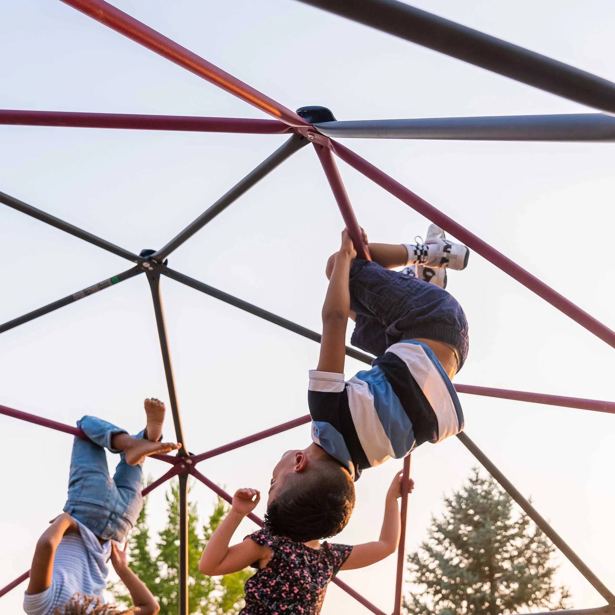 Lifetime Kids Outdoor Climbing Dome 5.5ft x 11ft, Berry/Brown, Durable Steel Design