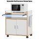 Kitchen Island on Wheels with Removable Shelf and Towel Rack